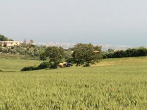 Terreno edificabile in Vendita a Colonnella #7