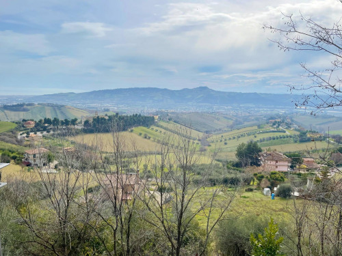 Appartamento in Affitto a Monteprandone #3