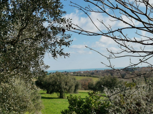 Casale in Vendita a Porto Sant'Elpidio #19